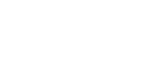Dubai Festival City Mall partner logo