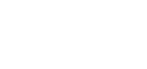 Mall of the Emirates partner logo
