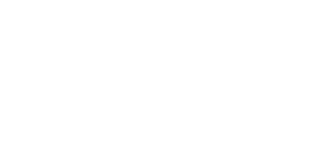 Mall of the Emirates partner logo
